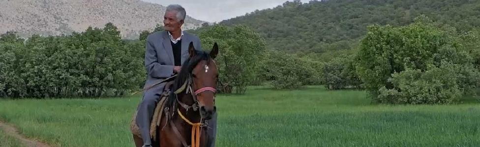 ارض جبلية صامتة 